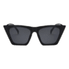 Acetate Frame Sunglasses